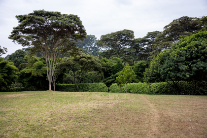 全面解析PT游戏下载渠道与安全安装步骤指南