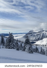 全面解读俄罗斯娱乐备用网址的安全性评估与合规性分析