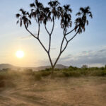 2025102期开奖结果公布最新中奖号码揭晓 5ulfof0jx