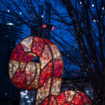 2025092期开奖结果最新公布与号码查询 6m1b4x