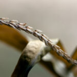 2025099期双色球开奖直播具体时间几点开始 6rw7novl2