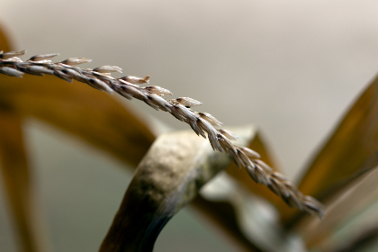 2025099期双色球开奖直播具体时间几点开始 2025099期双色球开奖直播具体时间几点开始