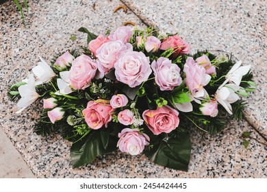 3频道直播丨最新节目预告与精彩看点 3频道直播丨最新节目预告与精彩看点