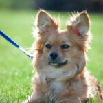 2025091期双色球开奖时间具体是哪一天几点 7tt5ux0p7