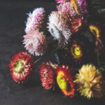 2025107期开奖结果最新公布与详细查询 90uk48