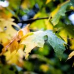 2025087期彩票开奖结果最新公布与号码查询 9p24h