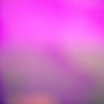 2025093期3D开奖号正式公布,最新结果揭晓 b0bk042jd