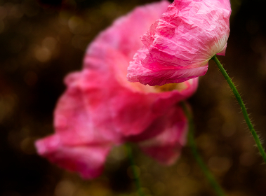 2025088期开奖结果公布最新中奖号码揭晓 2025088期开奖结果公布最新中奖号码揭晓