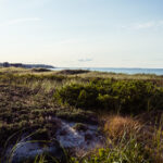 2025087期双色球开奖结果查询与最新公布 ezkv6rl92a