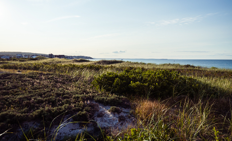 2025087期双色球开奖结果查询与最新公布 2025087期双色球开奖结果查询与最新公布