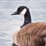 2025096期开奖结果即将揭晓敬请期待 j20gbv3