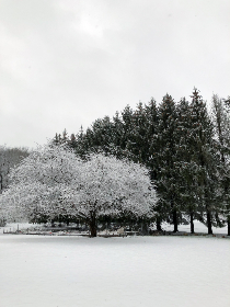 2025106期双色球开奖结果最新公布查询 2025106期双色球开奖结果最新公布查询