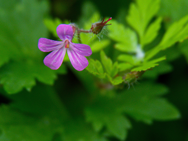 2025092期最新开奖结果查询与中奖号码公布 2025092期最新开奖结果查询与中奖号码公布