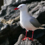 2025101期开奖结果查询与最新号码公布 pbnte3tsrd