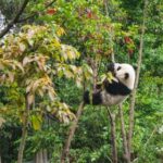 2025091期3D开奖结果最新公布与中奖号码查询 ta64t844