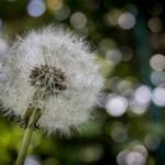 2025103期彩票开奖结果最新公布与中奖号码查询 v2554