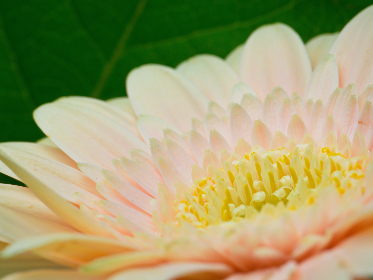 2025098期双色球开奖结果最新公布 2025098期双色球开奖结果最新公布