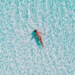 3第开奖结果揭晓:幸运号码震撼公布 yqtci036v